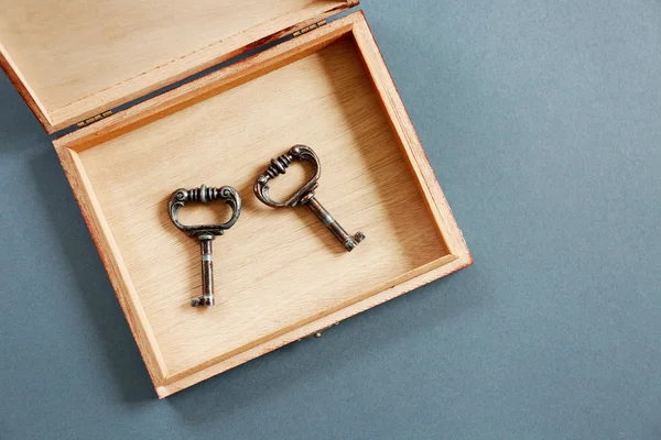 Dwa archiwalne klucze — Zdjęcie stockowe