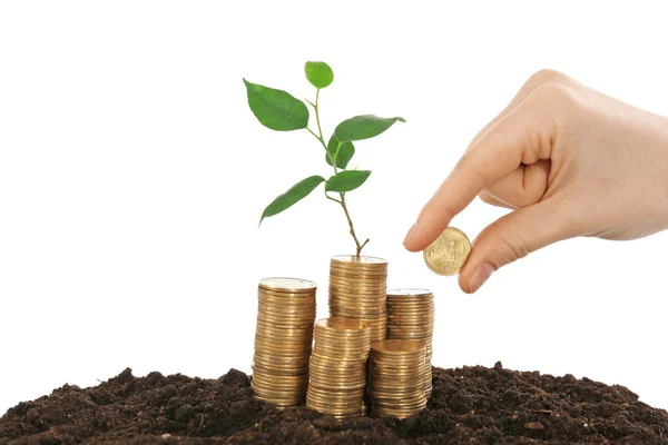 Coins in soil with young plant — Stock Photo, Image