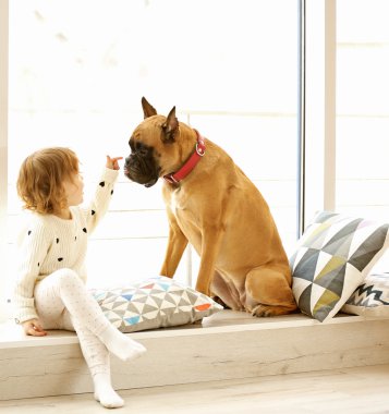 boxer köpek ile şirin kız 