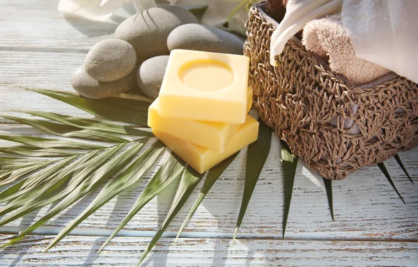 Schöne Wellness-Komposition — Stockfoto