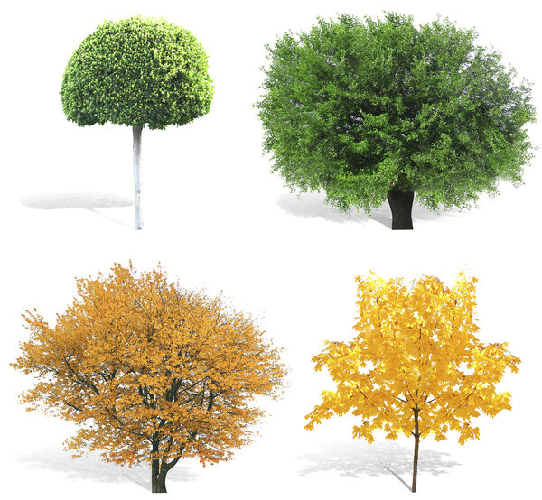 Trees at spring or summer, autumn