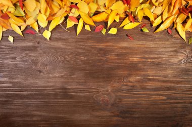 sonbahar yaprakları arka plan