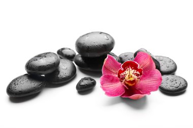 Spa taşlar ve kırmızı orkide 