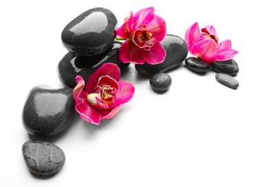 Spa taşlar ve kırmızı orkide 