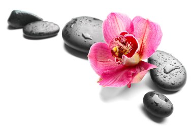 Spa taşlar ve kırmızı orkide 