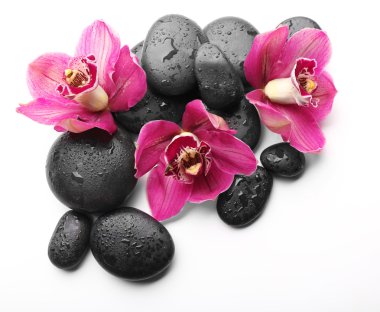 Spa taşlar ve kırmızı orkide 