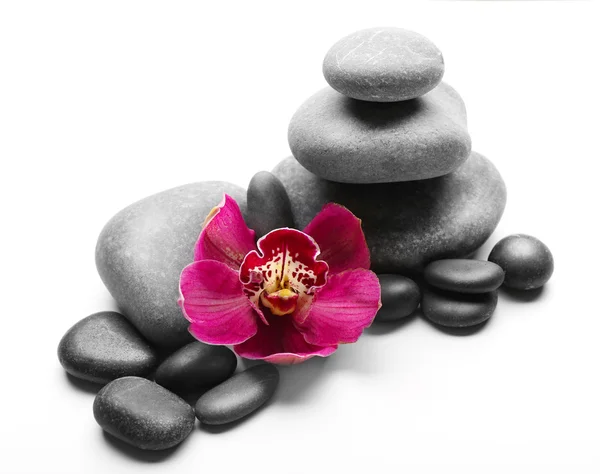 Spa stones and red orchid — Stock Photo, Image