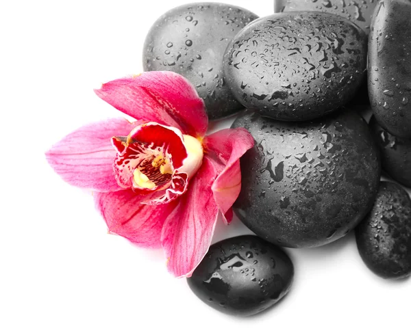 Spa stones and red orchid — Stock Photo, Image