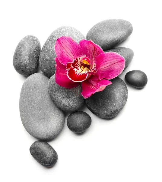 Spa stones and red orchid — Stock Photo, Image