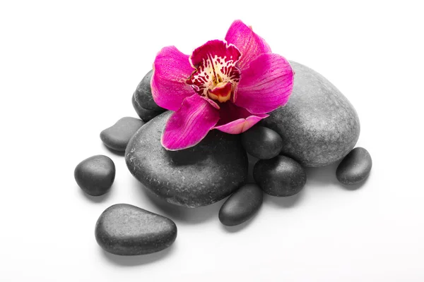 Спа-камни и красная орхидея — стоковое фото
