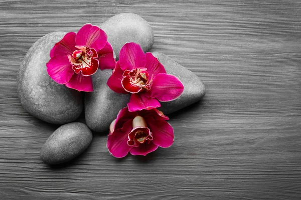 石头和红色兰花 — 图库照片