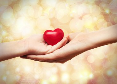 Sağlık hizmeti kavramı