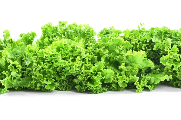 Lechuga fresca aislada — Foto de Stock