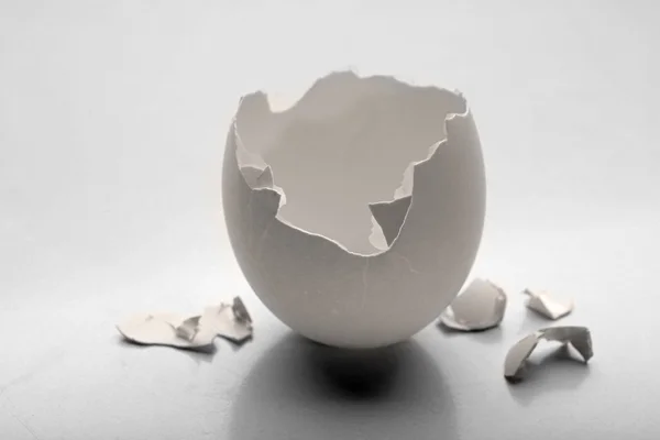 Cracked egg shell