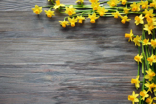 Rahmen aus schönen Narzissenblüten — Stockfoto