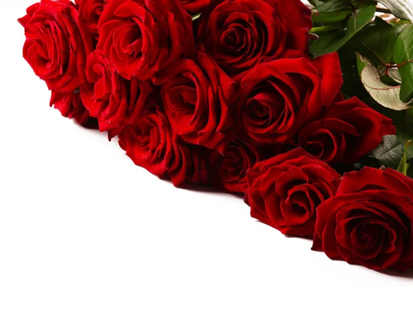 Ramo de rosas rojas aisladas — Foto de Stock