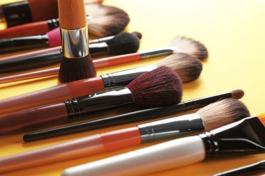 Profesyonel makyaj fırçası koleksiyonu