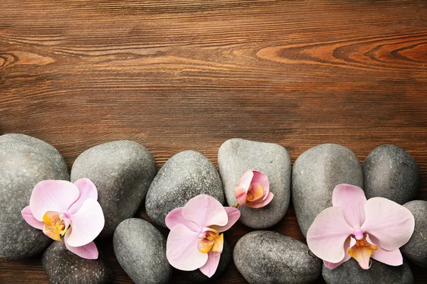 Wellness kameny a květy orchidejí — Stock fotografie