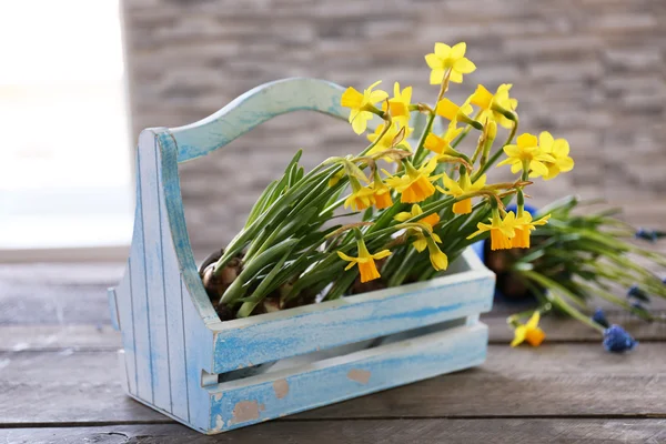 Beautiful narcissus in crate — Stock Photo, Image
