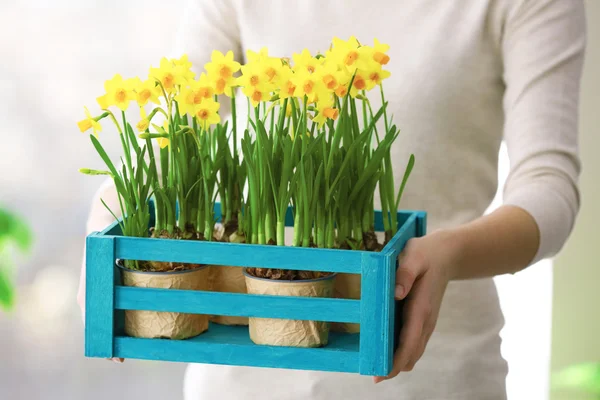 Woman holding crate with narcissus — Stock Photo, Image