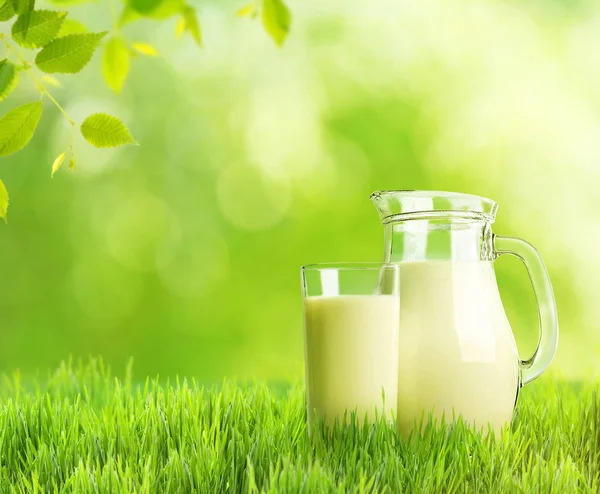 Milch im Glas auf grün — Stockfoto