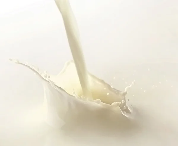 Süt splash izole — Stok fotoğraf