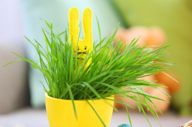 Paskalya tavşanı yeşil bitki 