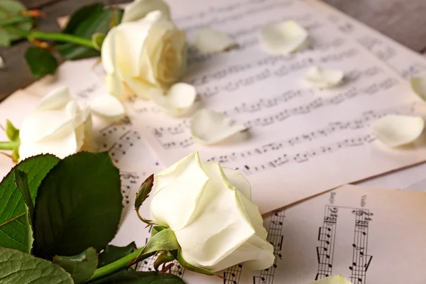 Beautiful roses on music sheets — Stock Photo, Image