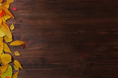 sonbahar yaprakları arka plan