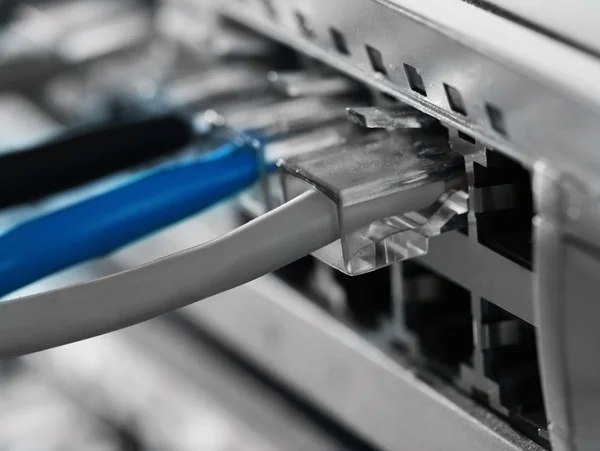 Bağlı Ethernet kabloları — Stok fotoğraf