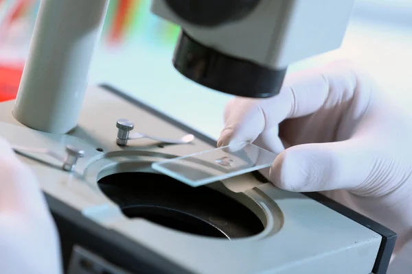 Clinician studying chemical element — Stock Photo, Image