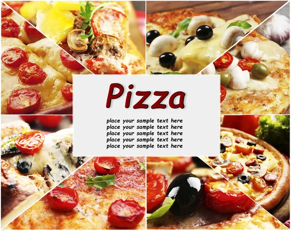 서로 다른 피자들의 세트 — 스톡 사진