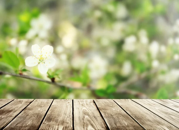 Empty wooden table — Stock Photo, Image