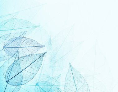 iskelet ile arka plan bırakır