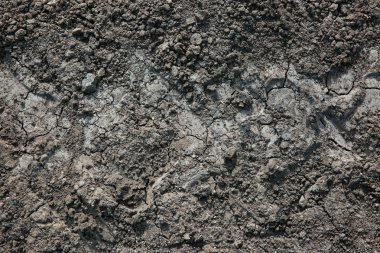 Bir traktör lastiği izlemek 