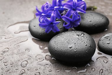 Güzel spa kompozisyonu 