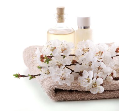 Çiçek açan dalları ile Spa kompozisyon 