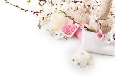 Çiçek açan şube ile Spa kompozisyon