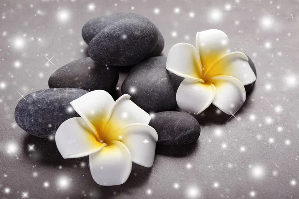 Spa stones on background — Stock Photo, Image