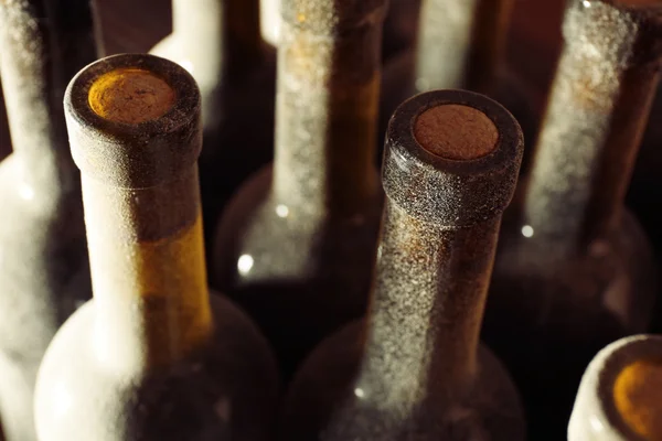 Zakurzone butelek wina — Zdjęcie stockowe