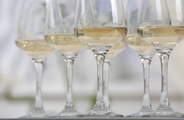 Verres de vin blanc — Photo