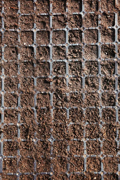 Black tray with soil for seedlings — Stock Photo, Image