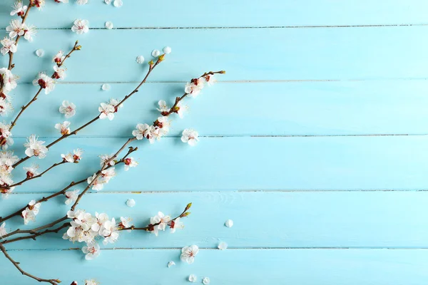 開花木の枝 — ストック写真