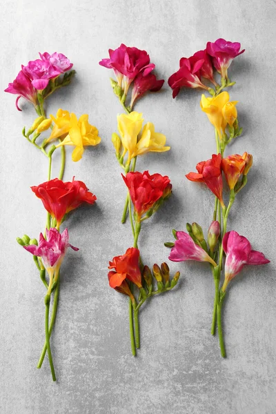 Красивые цветы фрезии — стоковое фото