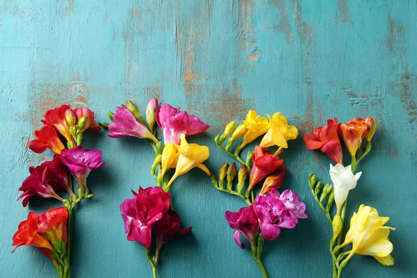 Beautiful freesia flowers — Stock Photo, Image