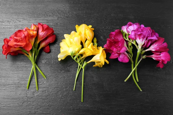 Beautiful freesia flowers — Stock Photo, Image