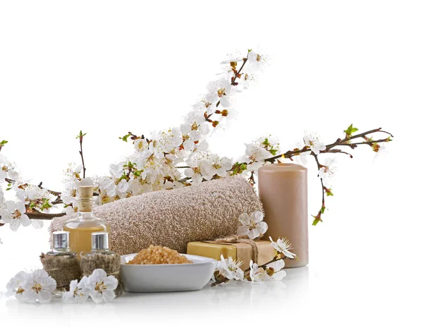 Çiçek açan dalları ile Spa kompozisyon