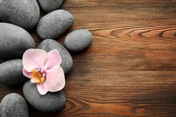 Piedras de spa y flor de orquídea — Foto de Stock