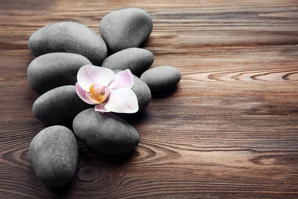 Kamienie uzdrowiskowe i kwiat storczyków — Zdjęcie stockowe
