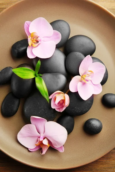 Kursteine und Orchideenblumen — Stockfoto